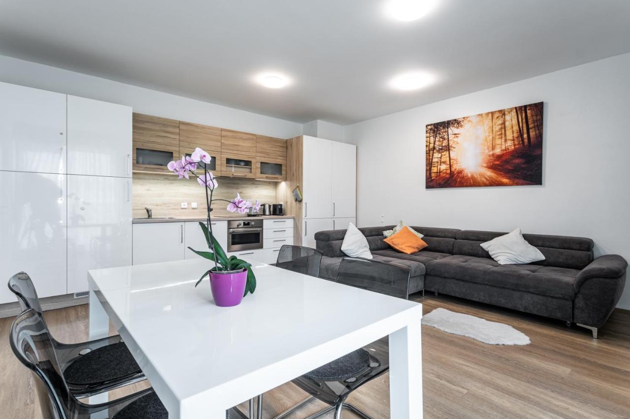 Mountain Apartments Klinovec Hexagon Лоучна-под-Клиновцем Экстерьер фото